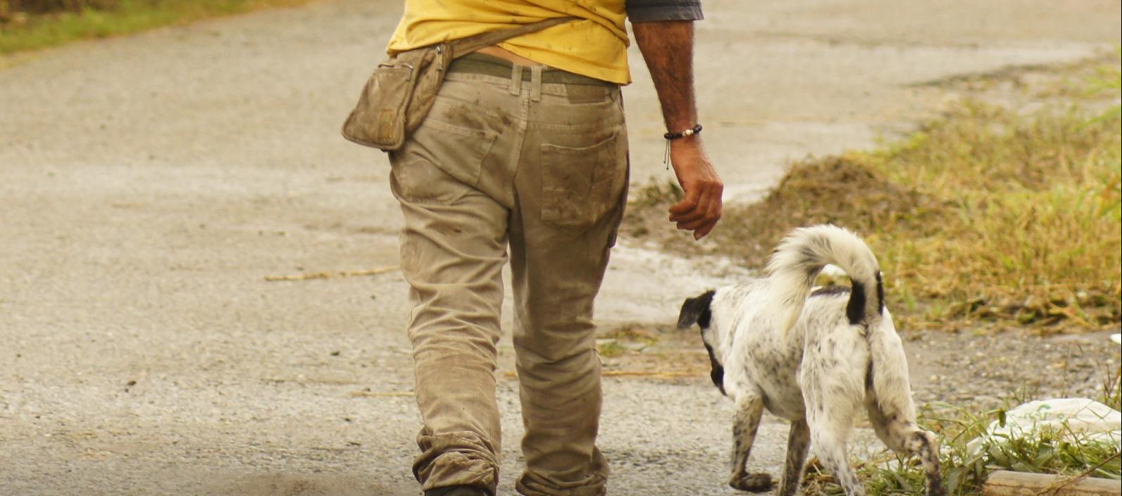 Imagen de referencia.