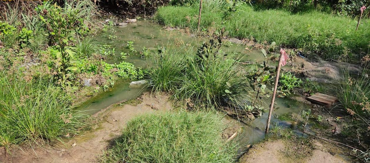 Presencia de aguas residuales.