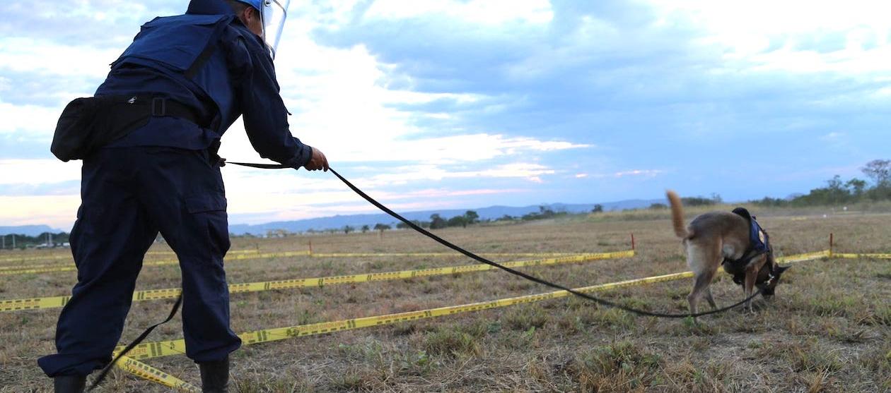 El Ejército Nacional en labores de desminado.