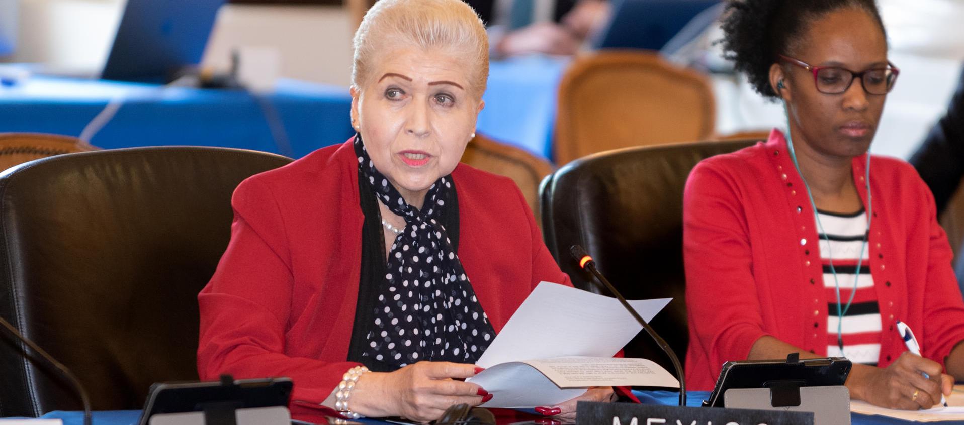 La representante permanente de México, Luz Elena Baños, habla ante la OEA