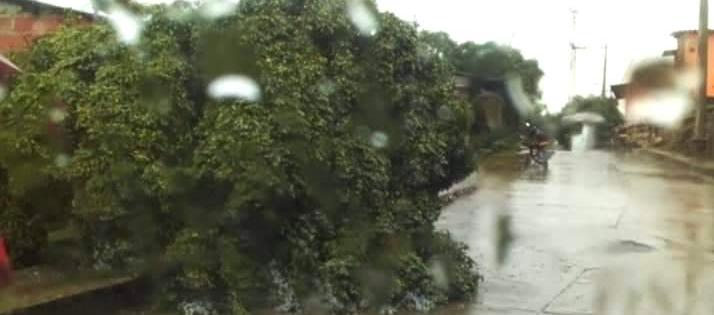 Árboles caídos sobre las vías.