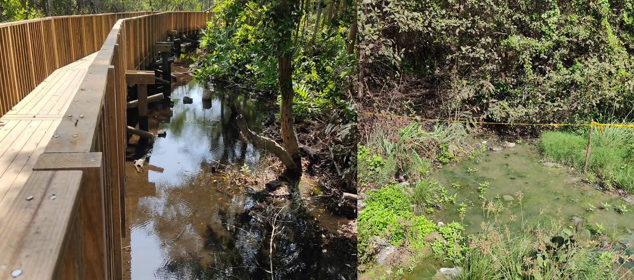 Las aguas residuales presentes en la Ciénaga de Mallorquín. 