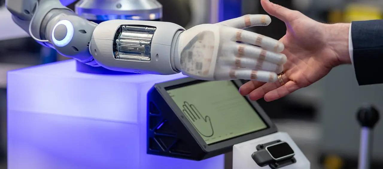 Imagen de referencia.