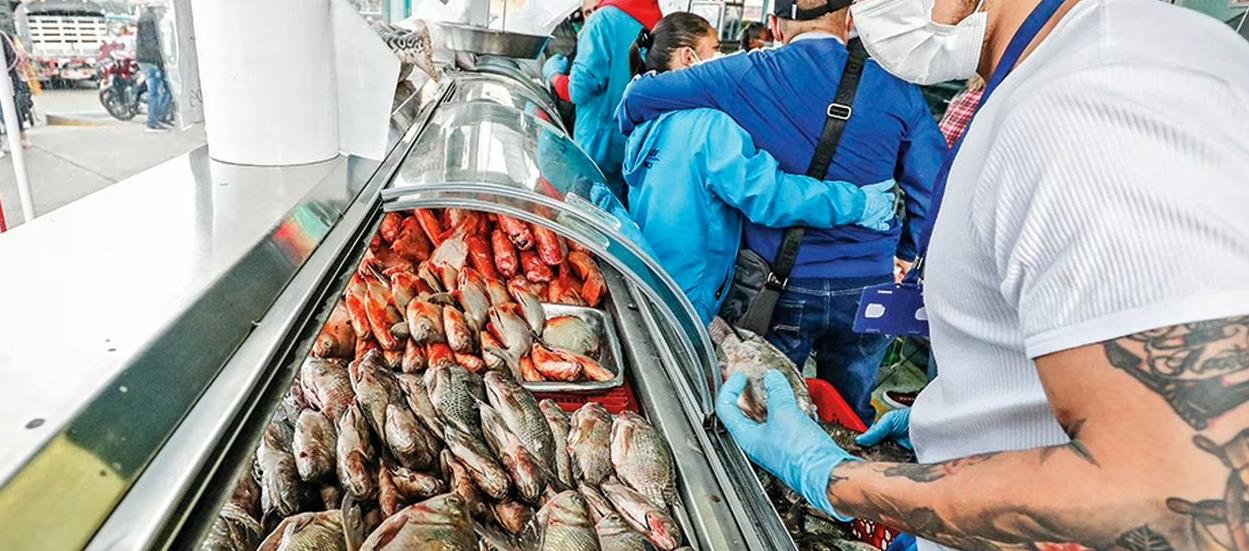 Imagen de referencia.