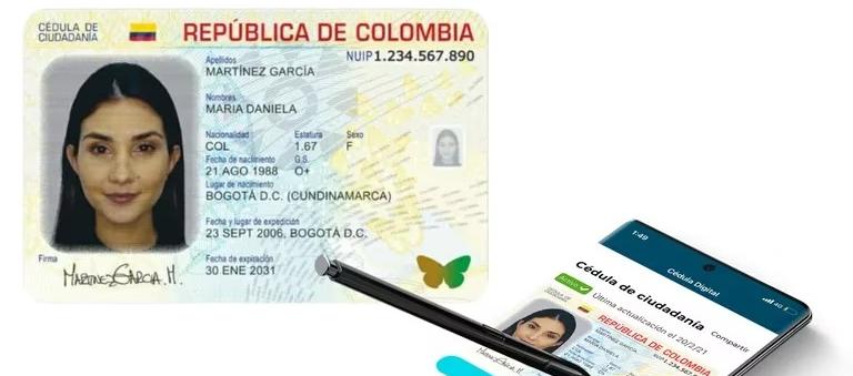 Imagen de referencia.