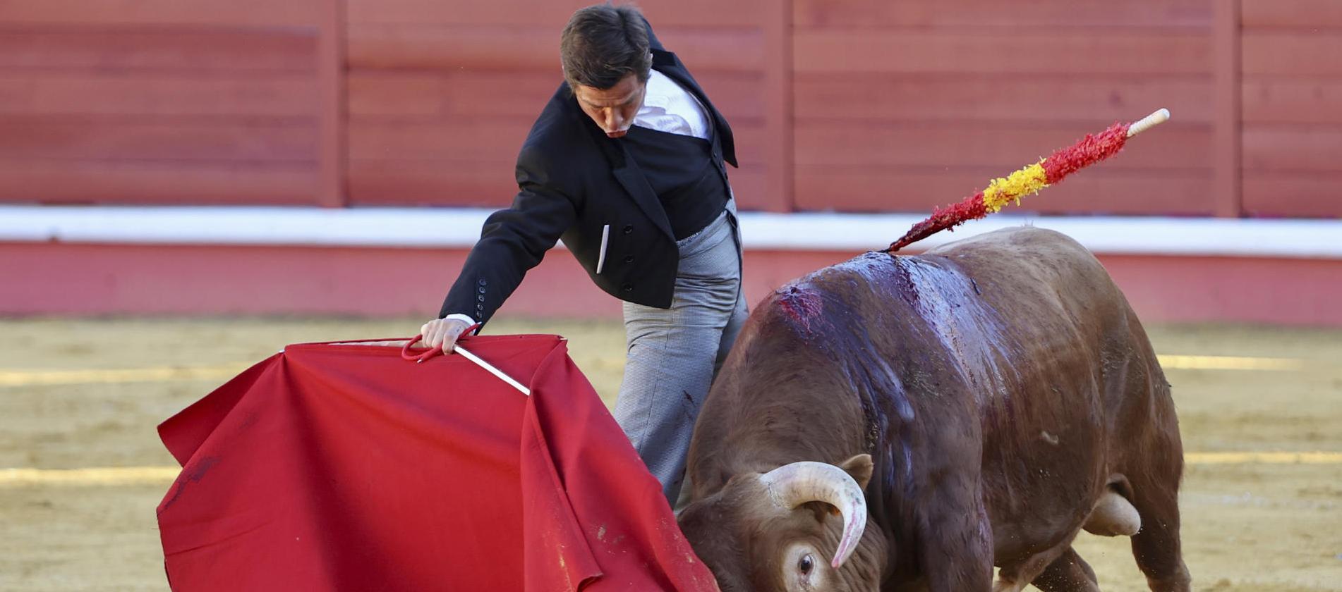 Imagen de referencia.