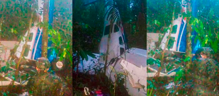 Imagen de la avioneta siniestrada.