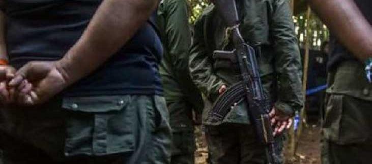 Imagen de referencia.