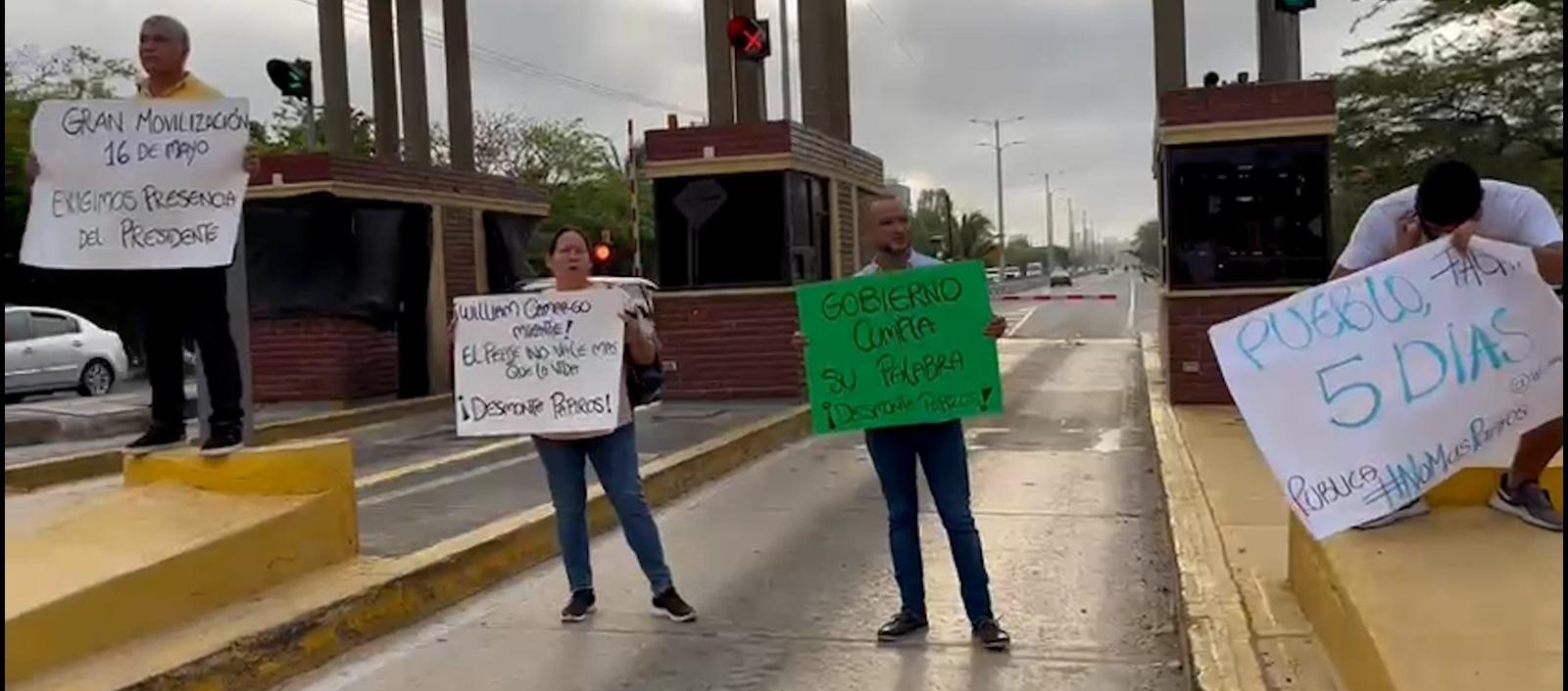 Imagen del plantón.