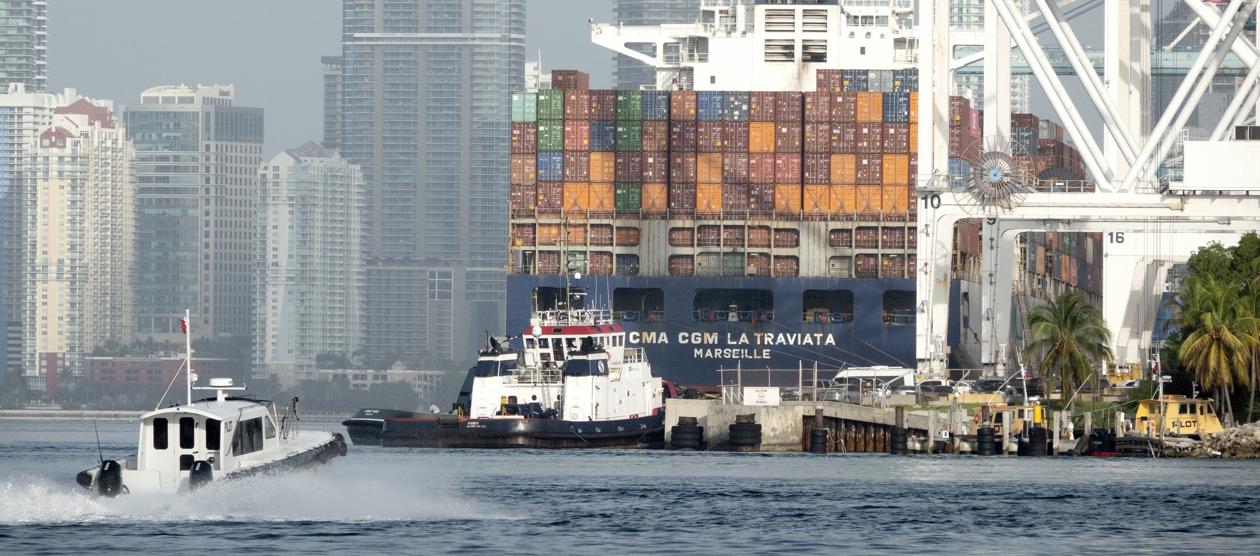 Imagen de referencia.