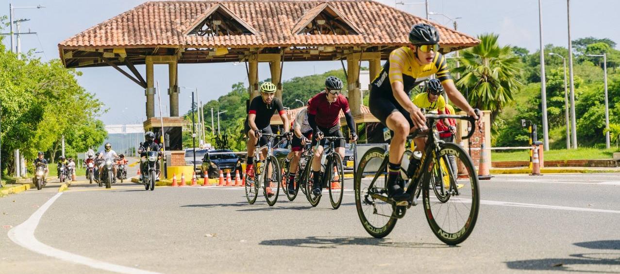 Imagen de referencia.