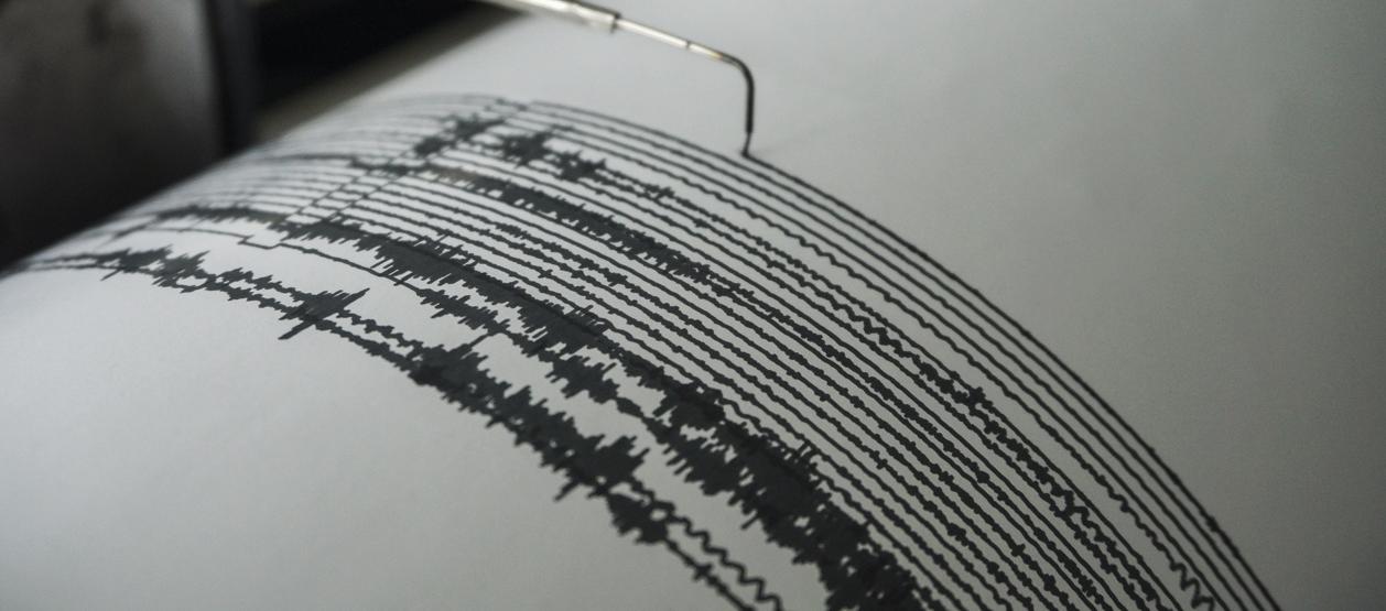 Imagen de referencia.