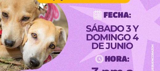 La jornada de adopción se llevará a cabo el 3 y 4 de junio.