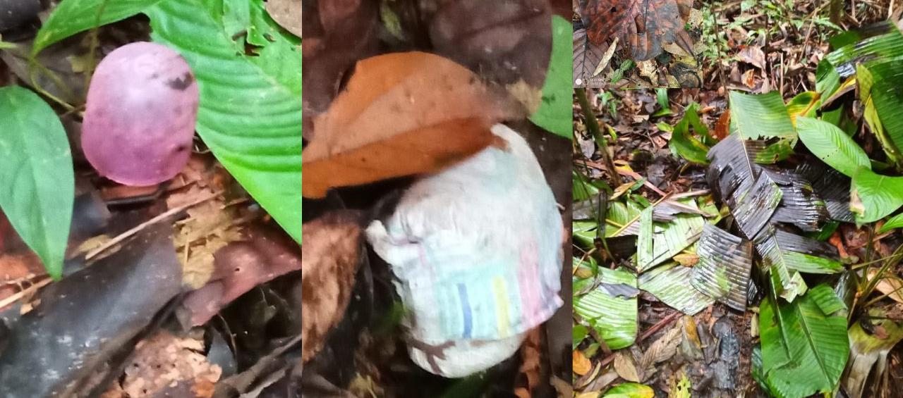 Nuevas pistas encontradas en la busqueda de los 4 menores desaparecidos en el Guaviare.