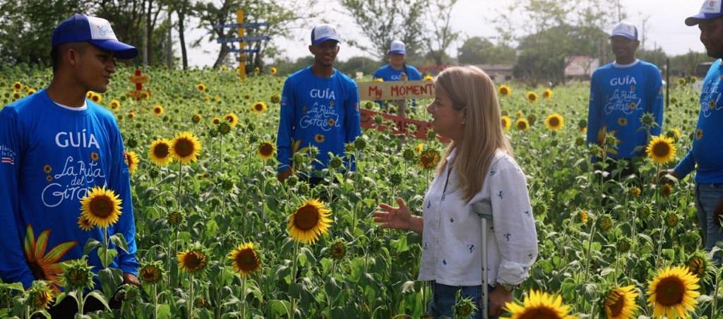 La Gobernadora Elsa Noguera visitó el campo de girasoles en Sabanalarga
