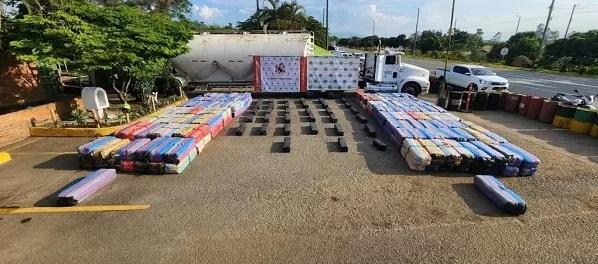 Seis toneladas de marihuana tipo creepy fueron incautadas.