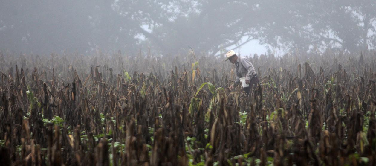 Imagen de referencia.