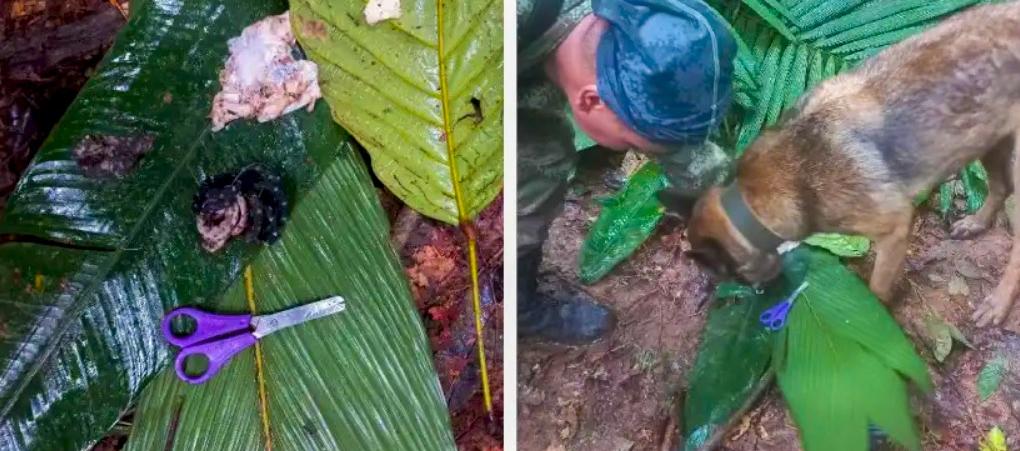 La tijera y unas 'moñitas' fueron halladas en la zona en donde cayó la avioneta