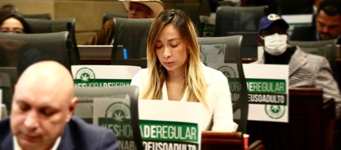 El proyecto que despenaliza la comercialización y uso del cannabis recreativo en Colombia fue aprobado este martes en sexto debate en la Cámara de Representantes