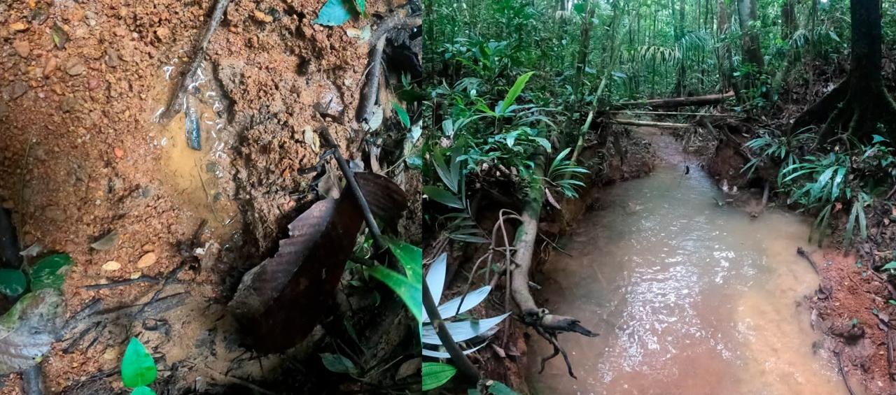 Las nuevas pistas que podrían corresponder a los 4 niños fueron compartidas por las Fuerzas Militares