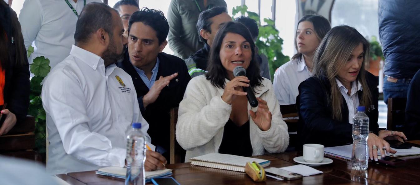 La Ministra de Minas y Energía, Irene Vélez.