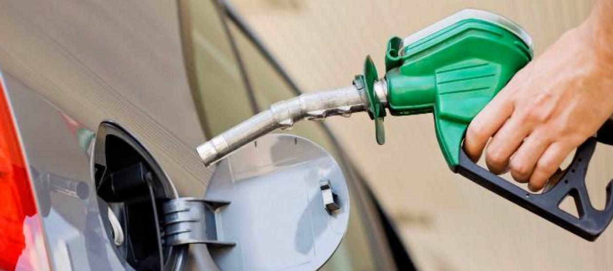 Imagen de referencia.