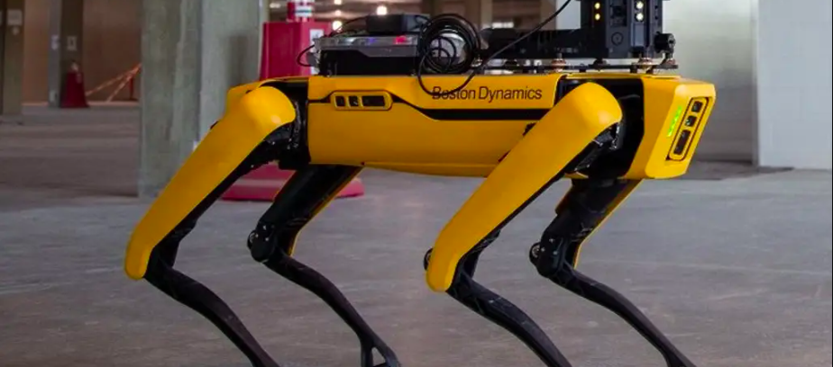 El perro que usará la Policía.