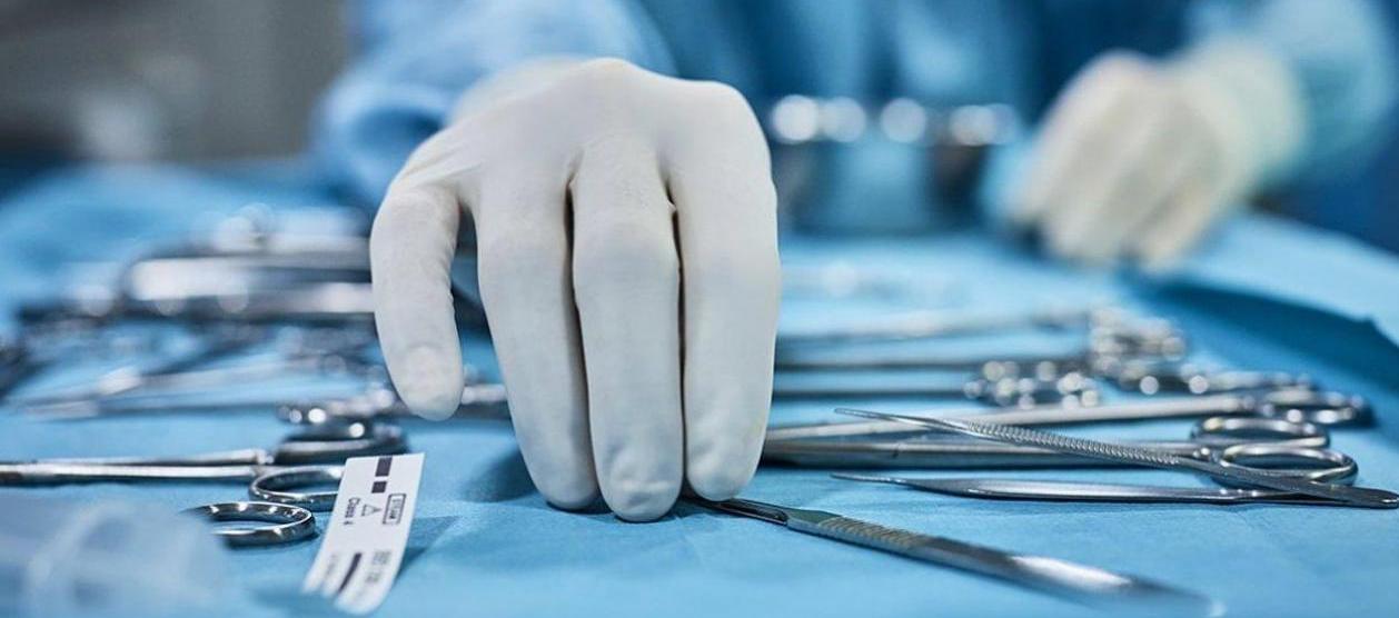 Imagen de referencia.