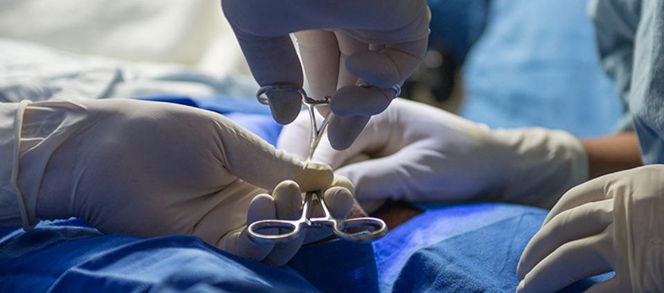 Imagen de referencia.