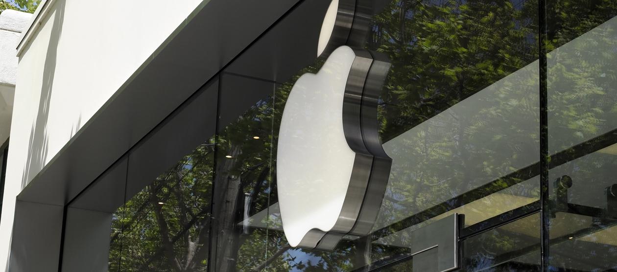 Imagen de referencia. 