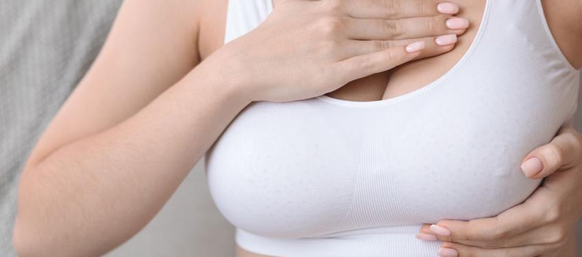 Imagen de referencia.