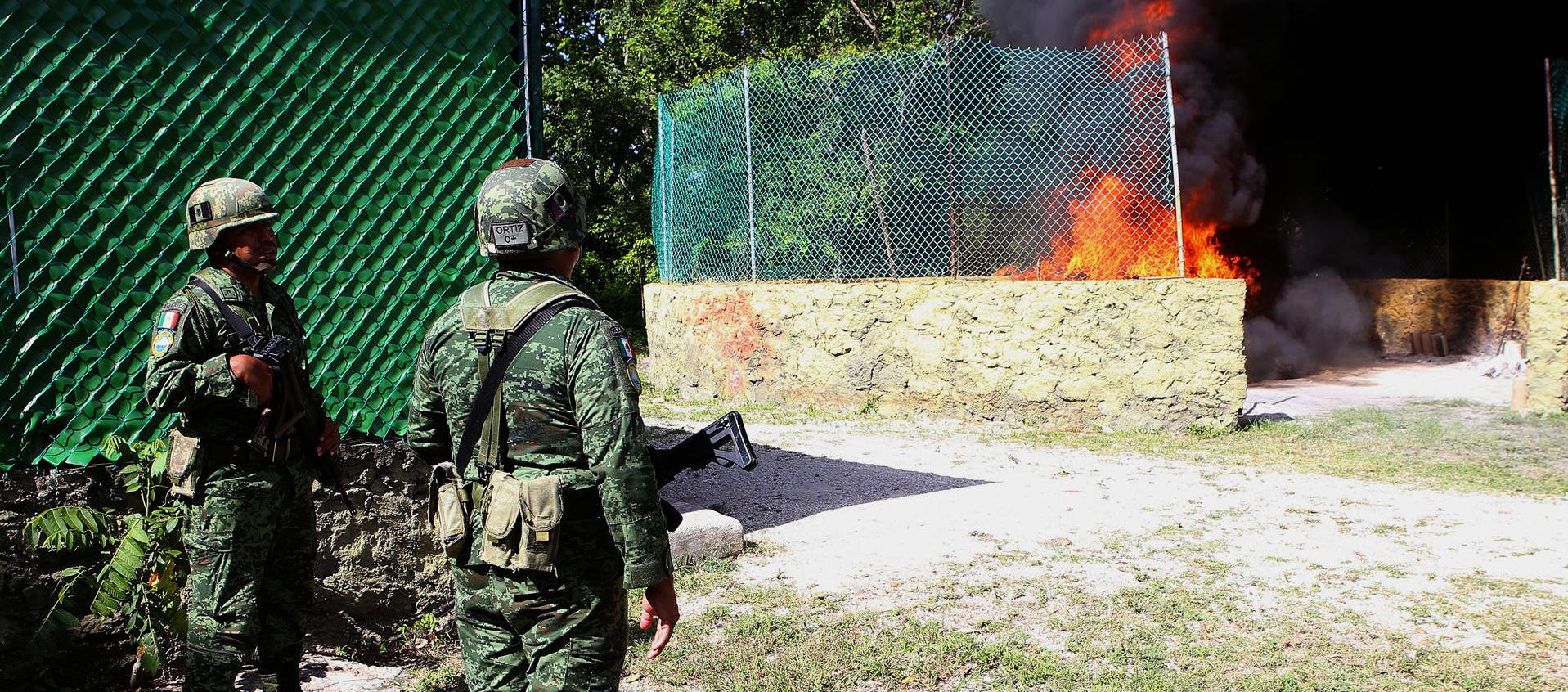 Incineración del narcótico. 