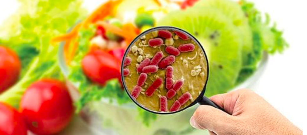 Imagen de referencia.