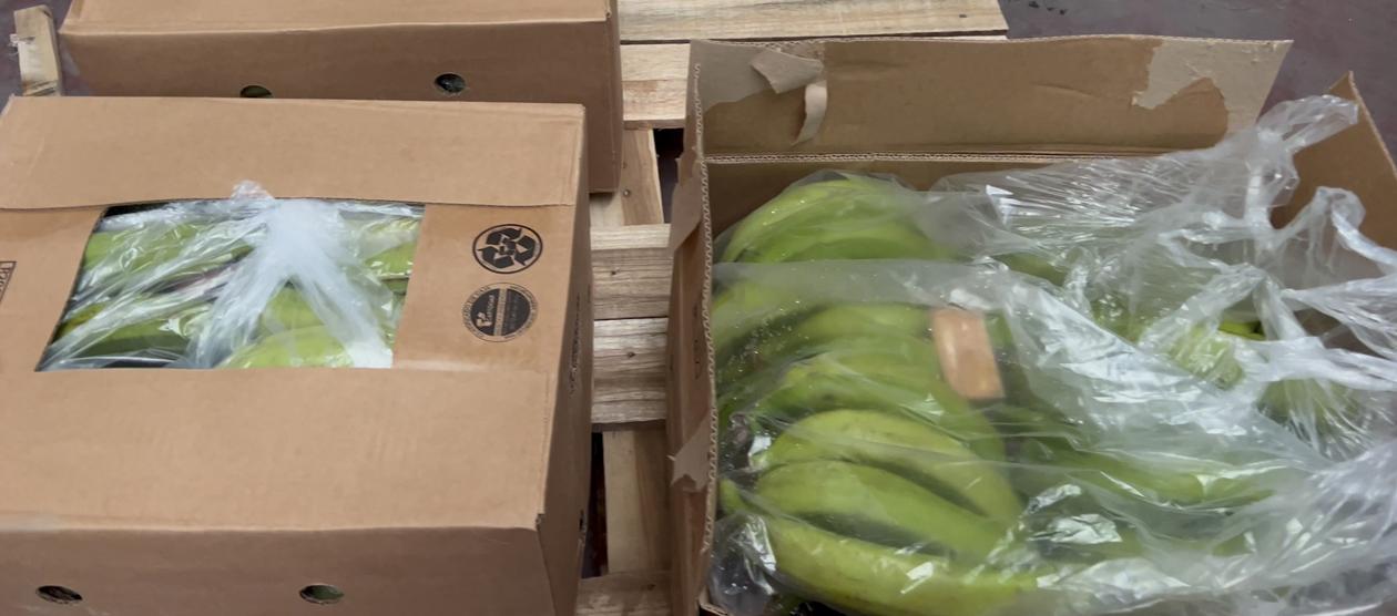 Droga oculta en plátanos. 