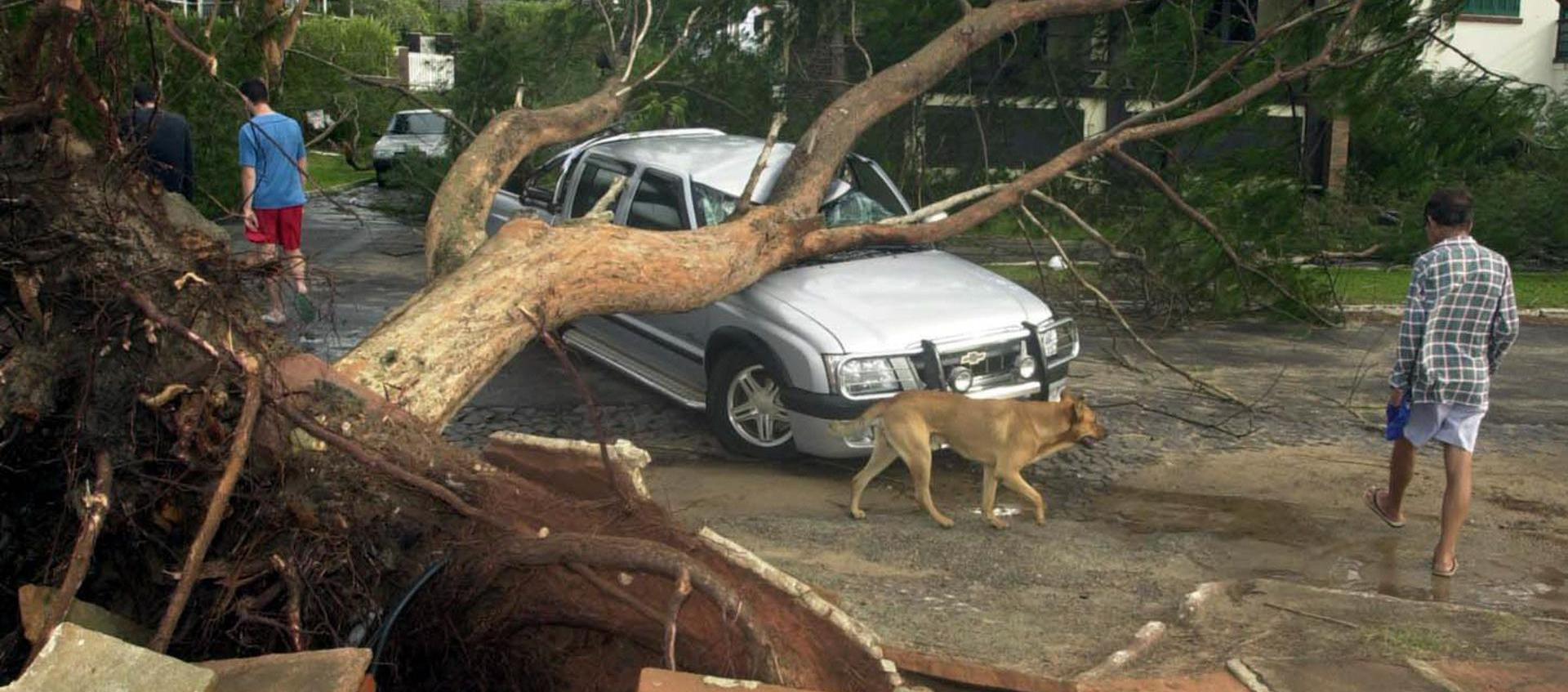 El fenómeno natural dejó destrucción en esa zona de Brasil.