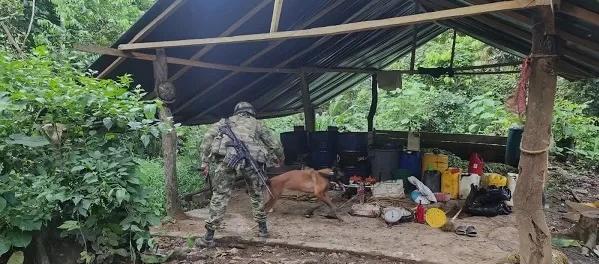 Laboratorio artesanal para la fabricación de coca