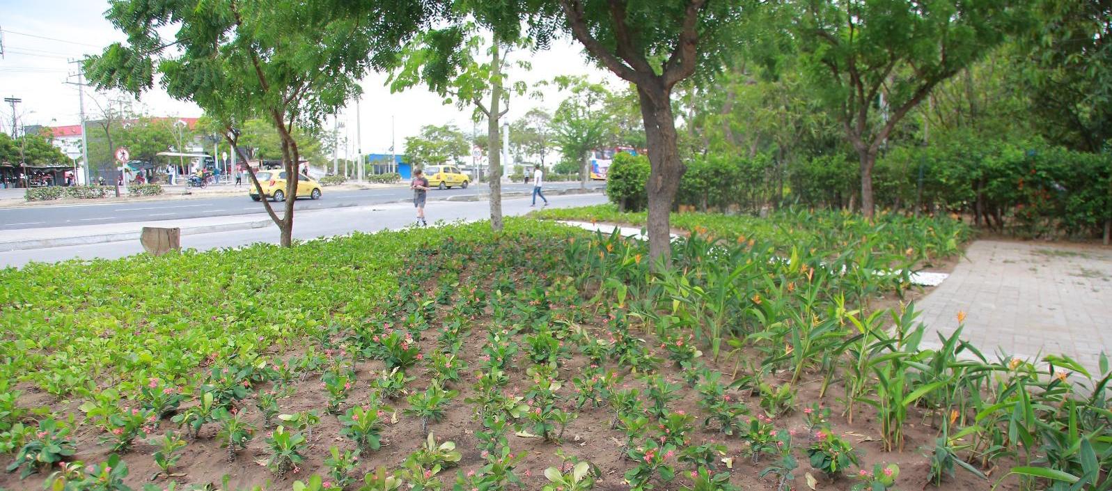 Intervención paisajística en Las Cayenas.