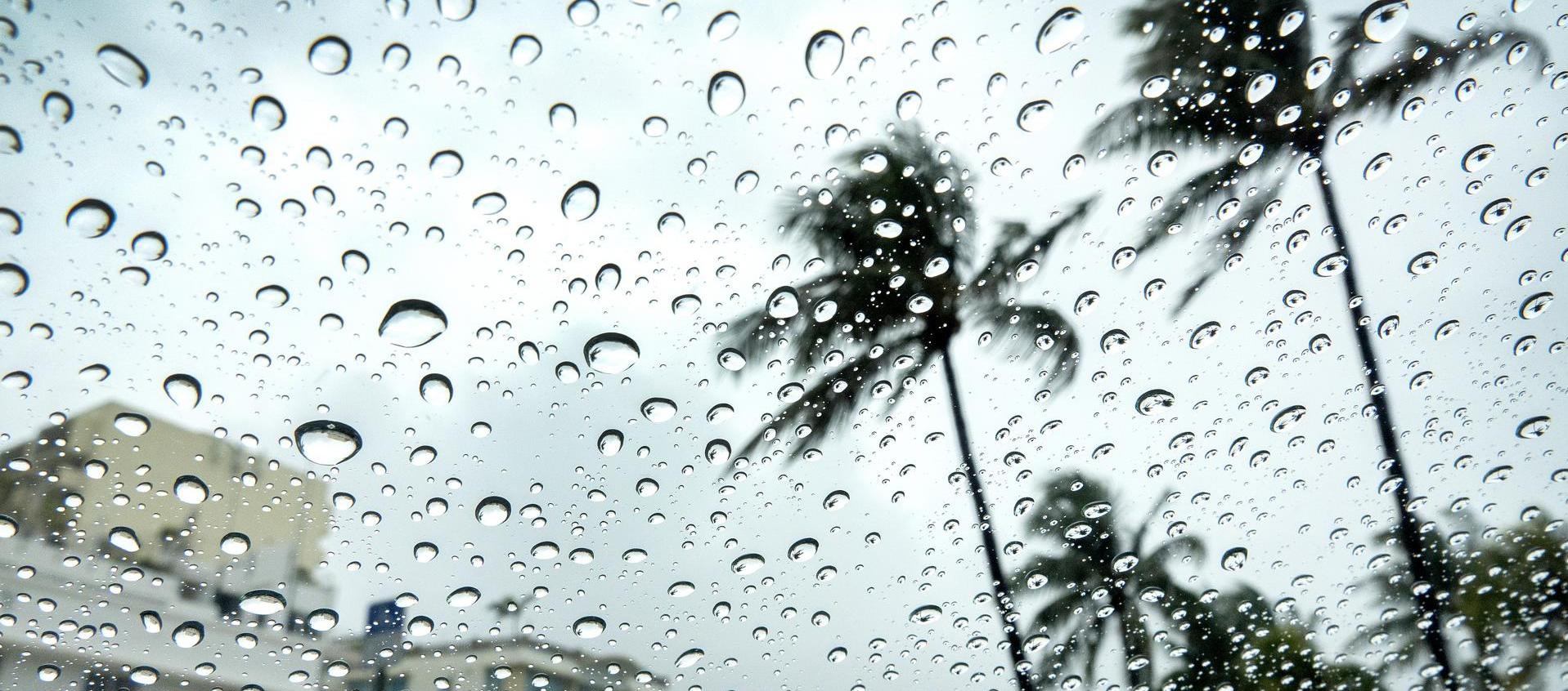 El fenómeno natural podría convertirse en huracán en los próximos días. 