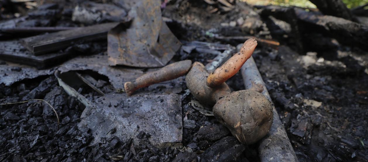 Imagen de referencia.