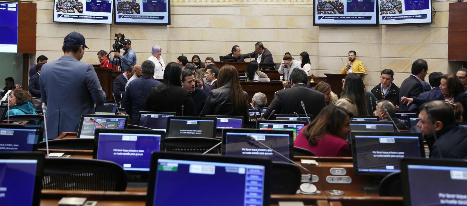 Imagen de la plenaria.