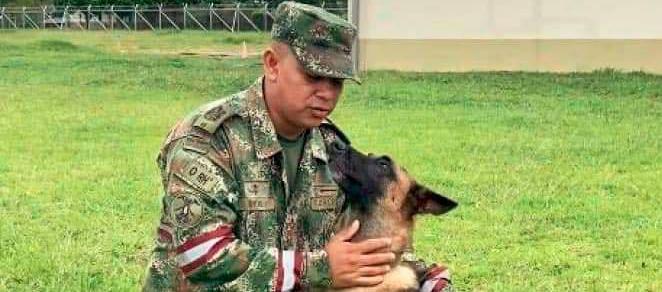 Imagen de referencia.