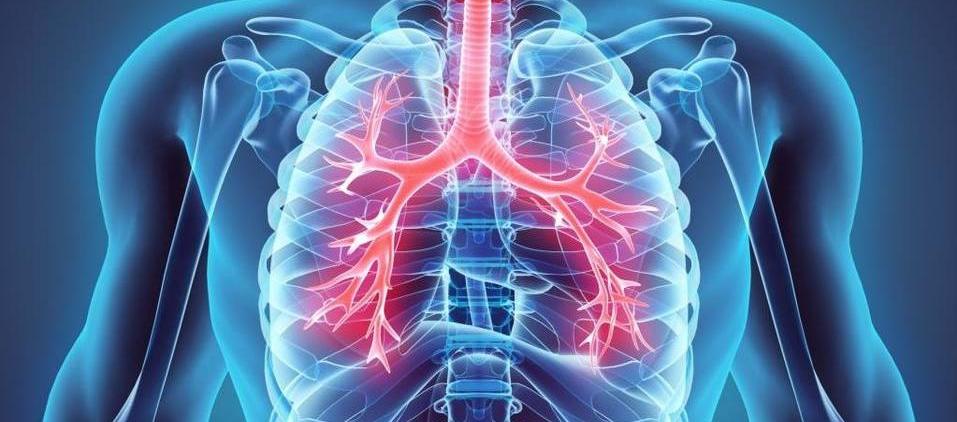 El nuevo mapa servirá para avanzar en la comprensión de las enfermedades pulmonares.