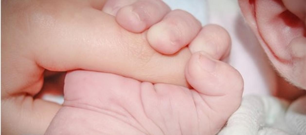 Imagen de referencia.