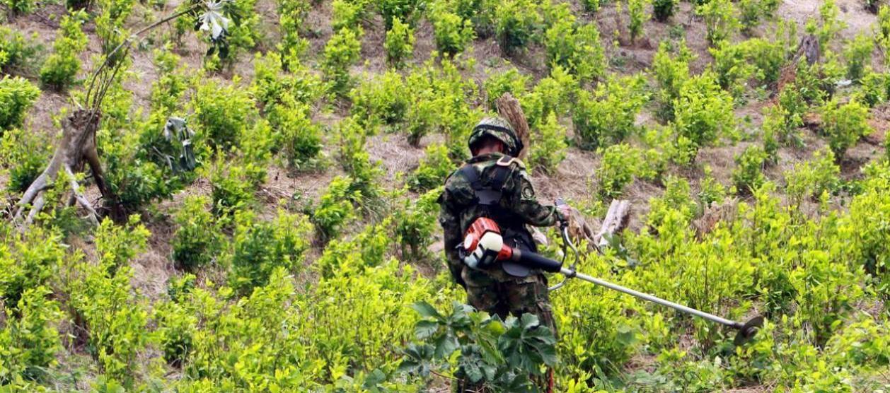 Imagen de referencia