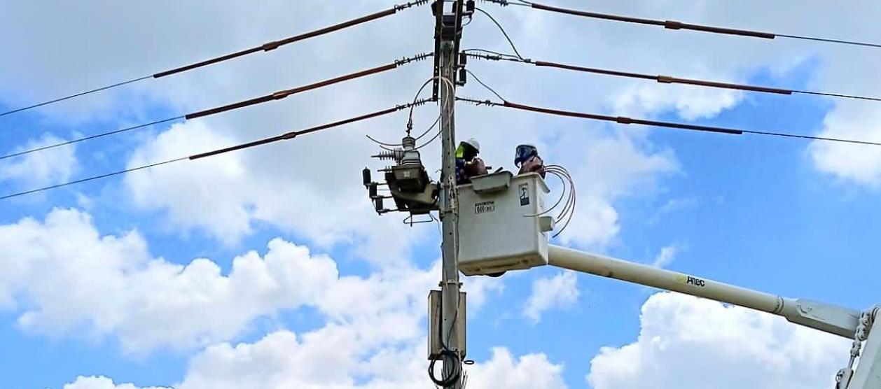 Imagen de referencia.