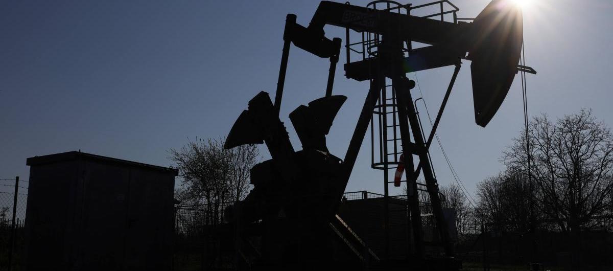 Imagen de referencia.