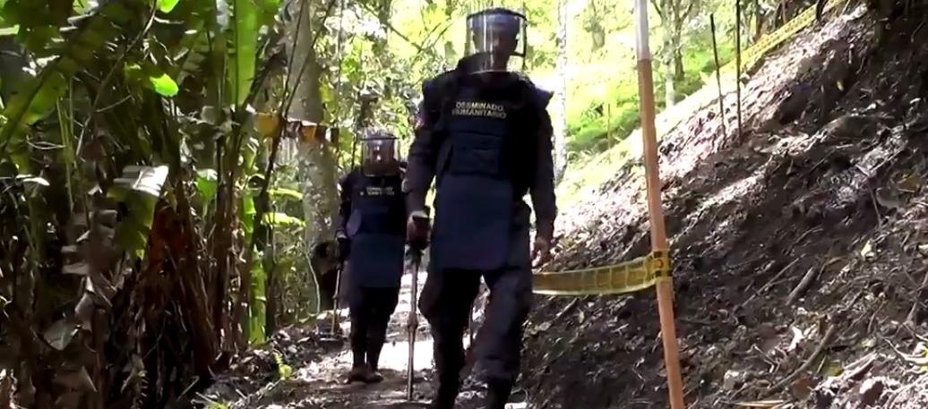 La misión de desminado está trabajando en el municipio de Mesetas