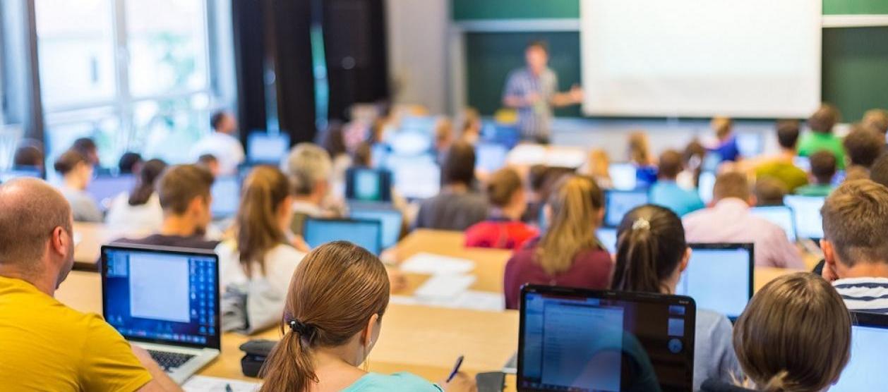 Imagen de referencia.