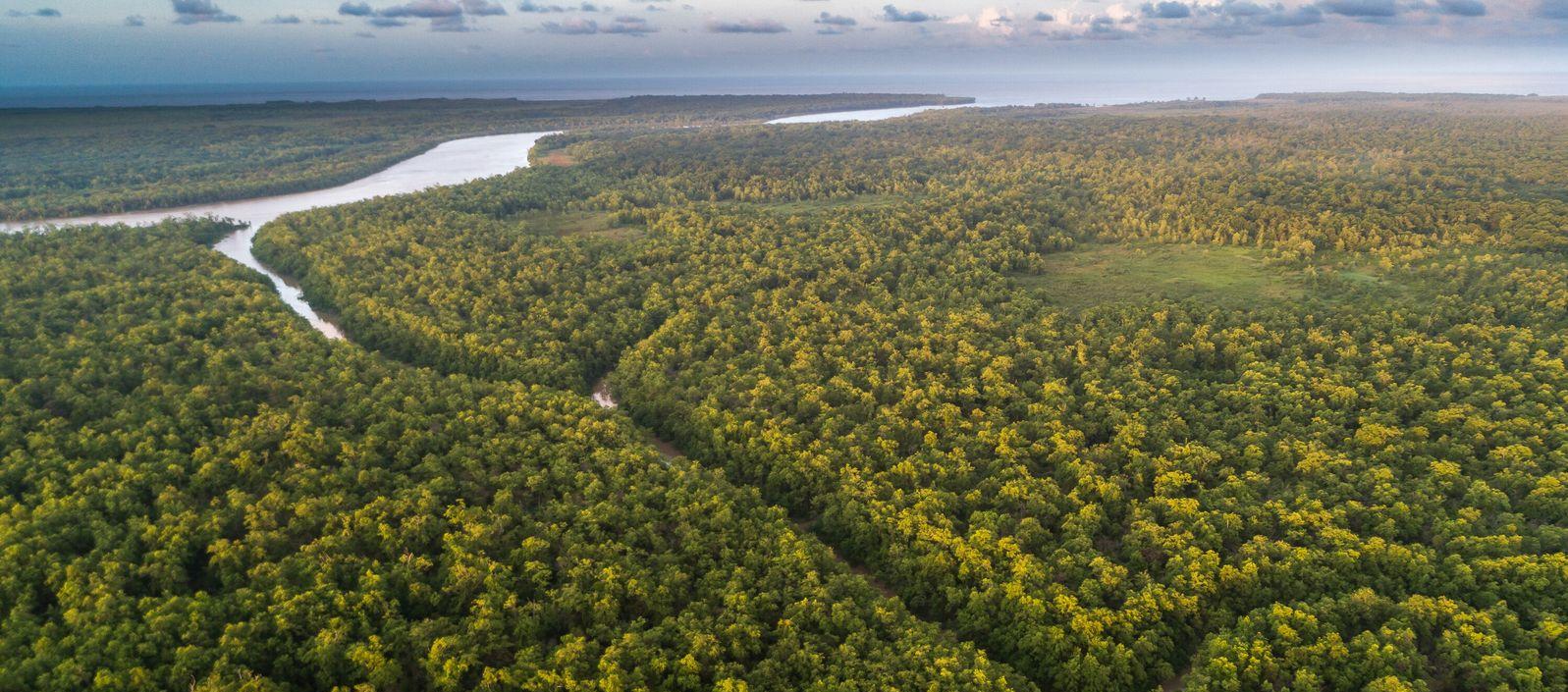 Región del Amazonas. 