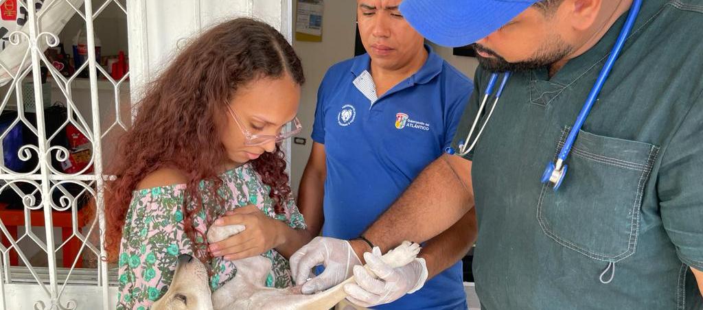 El servicio es gratuito y está disponible de lunes a sábado.